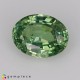 demantoid Garnet Demantoid Garnet image