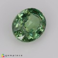 Natural Demantoid Garnet 0.86 Carats Green Oval 6x5 mm Loose Gemstone - Image 5