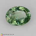 Natural Demantoid Garnet 0.86 Carats Green Oval 6x5 mm Loose Gemstone - Image 7