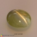 Natural Chrysoberyl cats eye 0.99 Carats Yellow Round Cabochon 6x3 mm Loose Gemstone - Image 3