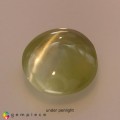 Natural Chrysoberyl cats eye 0.99 Carats Yellow Round Cabochon 6x3 mm Loose Gemstone - Image 4