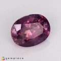 Natural Sapphire 3.31 Carats Purple Oval 10x8 mm Loose Gemstone - Image 1