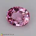 Natural Spinel 1.94 Carats Sweet Pink Oval 9x7 mm Loose Gemstone - Image 2