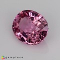 Natural Spinel 1.94 Carats Sweet Pink Oval 9x7 mm Loose Gemstone - Image 3