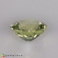 Natural Amblygonite 1.10 Carats Yellowish Green Round 7x4 mm Loose Gemstone - Image 4