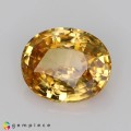 Natural Zircon 4.29 Carats Golden Yellow Oval 11x9 mm Loose Gemstone - Image 2