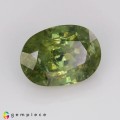 Natural Demantoid garnet 2.87 Carats Green Oval 9x7 mm Loose Gemstone - Image 1