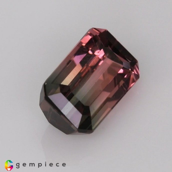 tourmaline Bi-color Tourmaline image