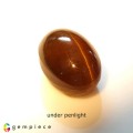 Natural Apatite cats eye 10.33 Carats Honey Oval Cabochon 14x9 mm Loose Gemstone - Image 3