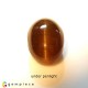 Showing image for apatite cats eye apatite cats eye image