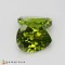 peridot  9.55cts - 12x10mm