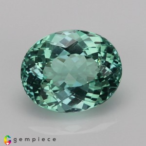 apatite  2.81cts - 10x8mm