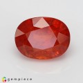 Natural Spessartite garnet 11.01 Carats Mandarin Orange Oval 13x10 mm Loose Gemstone - Image 7