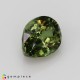 Showing image for demantoid garnet demantoid garnet Demantoid Garnet image