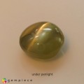 Natural Chrysoberyl cats eye 1.02 Carats Yellow Round Cabochon 6x3 mm Loose Gemstone - Image 3