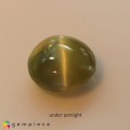 Natural Chrysoberyl cats eye 1.02 Carats Yellow Round Cabochon 6x3 mm Loose Gemstone - Image 1