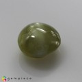 Natural Chrysoberyl cats eye 1.02 Carats Yellow Round Cabochon 6x3 mm Loose Gemstone - Image 5