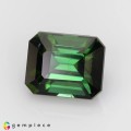 Natural Tourmaline 1.70 Carats Vivid Green Emerald Cut 7x6 mm Loose Gemstone - Image 2