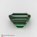 Natural Tourmaline 1.70 Carats Vivid Green Emerald Cut 7x6 mm Loose Gemstone - Image 3