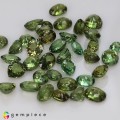 Natural Demantoid garnet 25.37 Carats Green Mixed Mixed Lot Loose Gemstone - Image 3