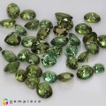 Natural Demantoid garnet 25.37 Carats Green Mixed Mixed Lot Loose Gemstone - Image 4