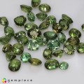 Natural Demantoid garnet 25.37 Carats Green Mixed Mixed Lot Loose Gemstone - Image 1