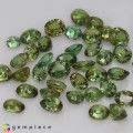 Natural Demantoid garnet 25.37 Carats Green Mixed Mixed Lot Loose Gemstone - Image 6