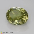 Natural Sillimanite 14.85 Carats Yellowish Green Oval 17x13 mm Loose Gemstone - Image 2