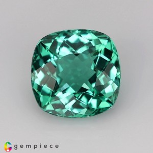 apatite  2.49cts - 8x5mm