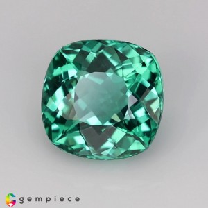 apatite  2.49cts - 8x5mm