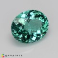 Natural Apatite 3.21 Carats Paraiba Green Oval 10x8 mm Loose Gemstone - Image 5
