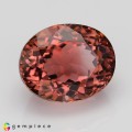 Natural Tourmaline 4.69 Carats Sweet Pink Oval 11x9 mm Loose Gemstone - Image 7