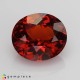 Showing image for hessonite garnet hessonite garnet Hessonite Garnet image