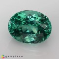 Natural Apatite 3.43 Carats Paraiba Green Oval 10x8 mm Loose Gemstone - Image 2