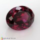 Showing image for rhodolite garnet rhodolite garnet Rhodolite Garnet image