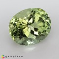 Natural Tourmaline 4.28 Carats Greenish Yellow Oval 11x9 mm Loose Gemstone - Image 6