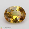 Natural Sapphire 2.43 Carats Golden Yellow Oval 9x7 mm Loose Gemstone - Image 7