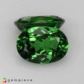 Natural Chrome tourmaline 1.61 Carats Chrome Green Oval 7x5 mm Loose Gemstone - Image 1