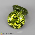 Natural Peridot 8.31 Carats Green Round 10x7 mm Loose Gemstone - Image 2