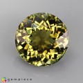 Natural Tourmaline 1.91 Carats Yellowish Green Round 8x5 mm Loose Gemstone - Image 2