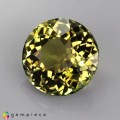 Natural Tourmaline 1.91 Carats Yellowish Green Round 8x5 mm Loose Gemstone - Image 3