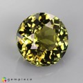 Natural Tourmaline 1.91 Carats Yellowish Green Round 8x5 mm Loose Gemstone - Image 5
