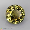 Natural Tourmaline 1.91 Carats Yellowish Green Round 8x5 mm Loose Gemstone - Image 7