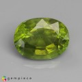 Natural Peridot 8.06 Carats Moss Green Oval 14x10 mm Loose Gemstone - Image 2