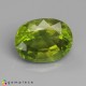 Showing image for peridot peridot Peridot image