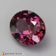 Showing image for rhodolite garnet rhodolite garnet image