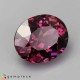 Showing image for rhodolite garnet rhodolite garnet image