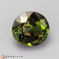 Natural Tourmaline 2.02 Carats Honey Green Oval 8x7 mm Loose Gemstone - Image 6