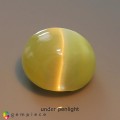 Natural Chrysoberyl cats eye 1.24 Carats Honey Yellow Oval Cabochon 6x5 mm Loose Gemstone - Image 1