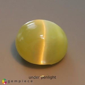 chrysoberyl cats eye  1.24cts - 6x5mm chrysoberyl cats eye  1.24cts - 6x5mm